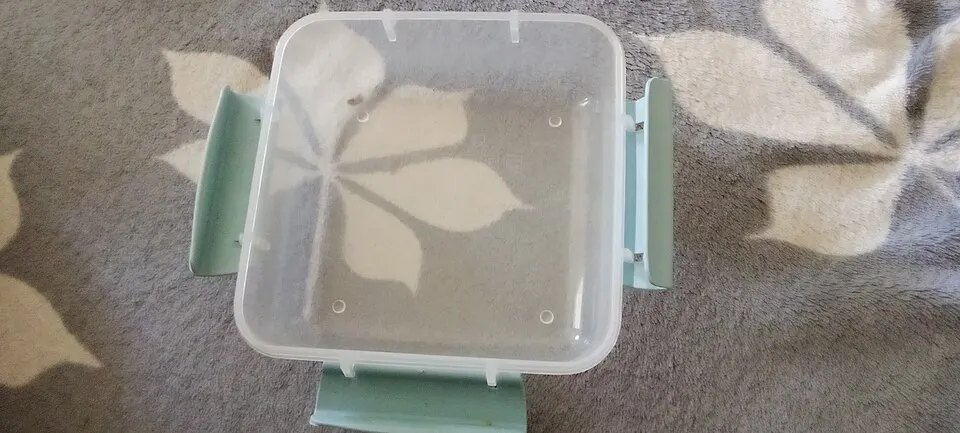 Boîte de conservation alimentaire