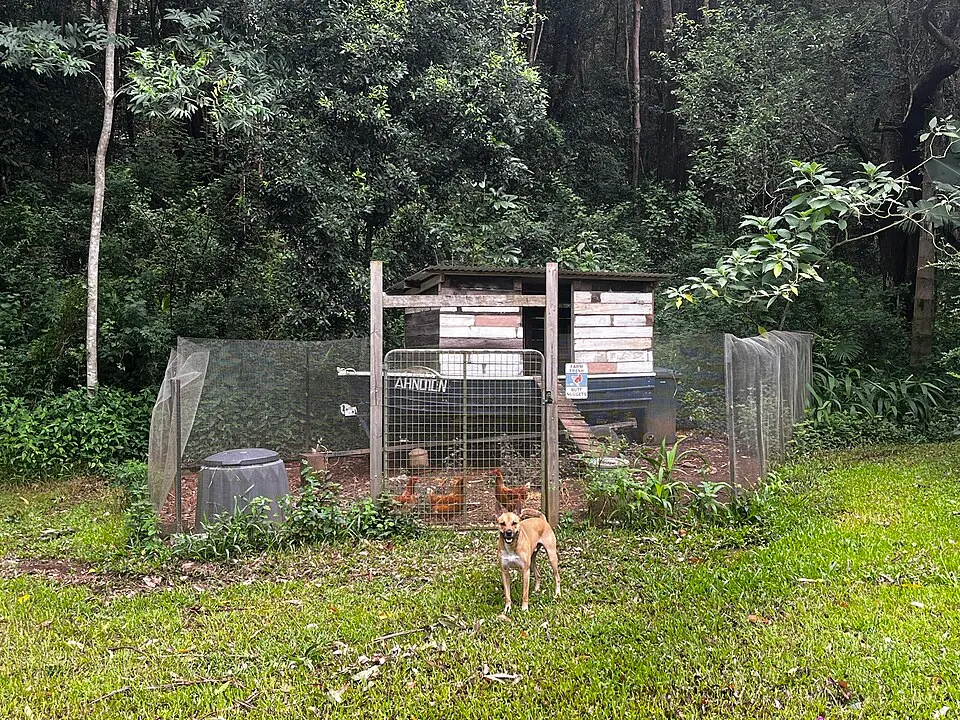Chicken housing