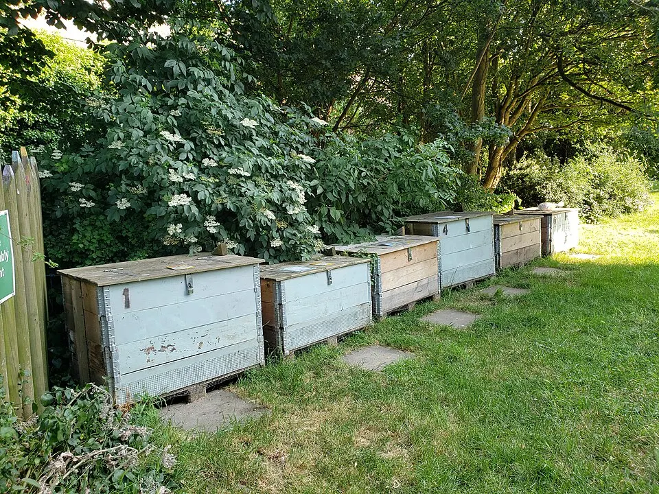 Contenitore per compost