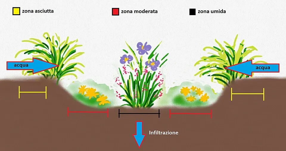 Schema di un giardino di pioggia