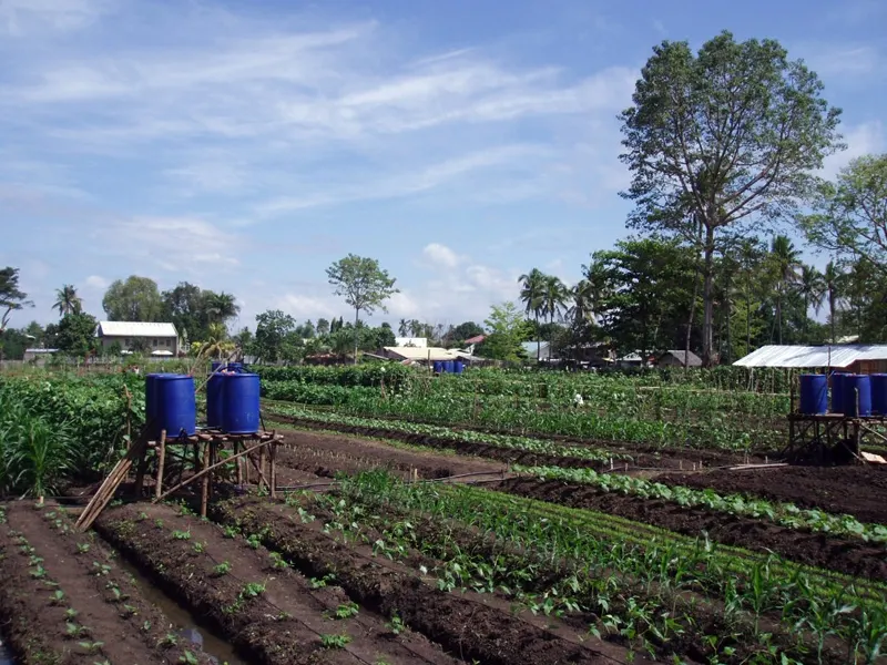 Potager