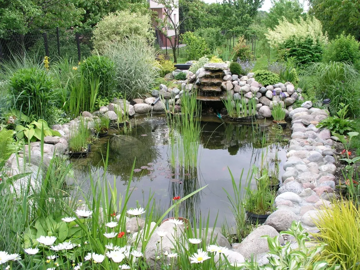 Vijver in een particuliere tuin.
