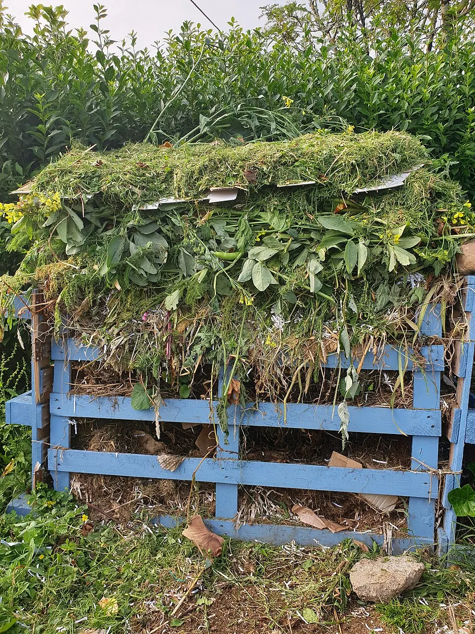 Compost container