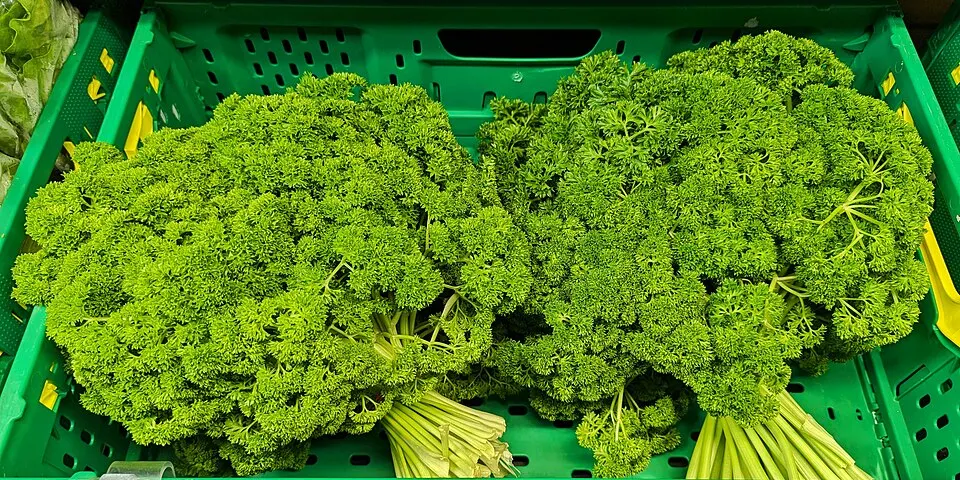 Fresh herbs