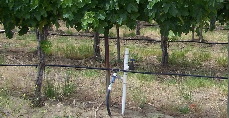 Drip irrigation
