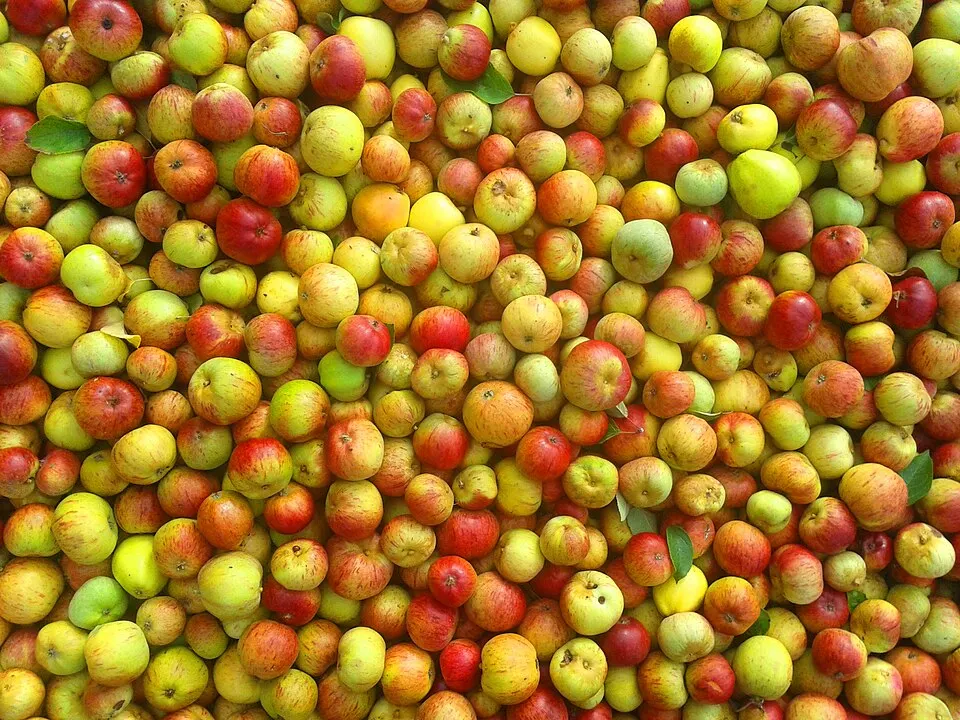 Apples in a container