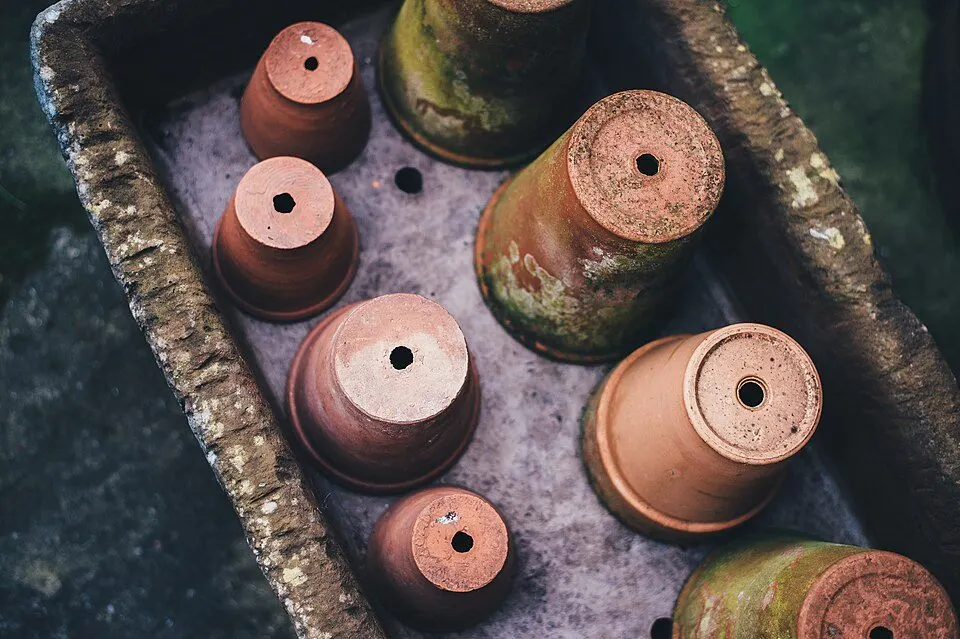 Een verzameling terracotta bloempotten.