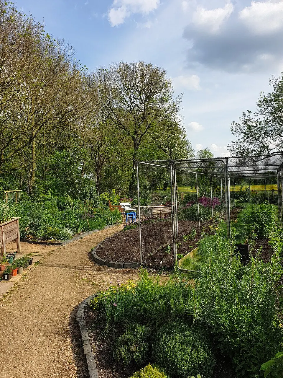 Gemeinschaftsgarten