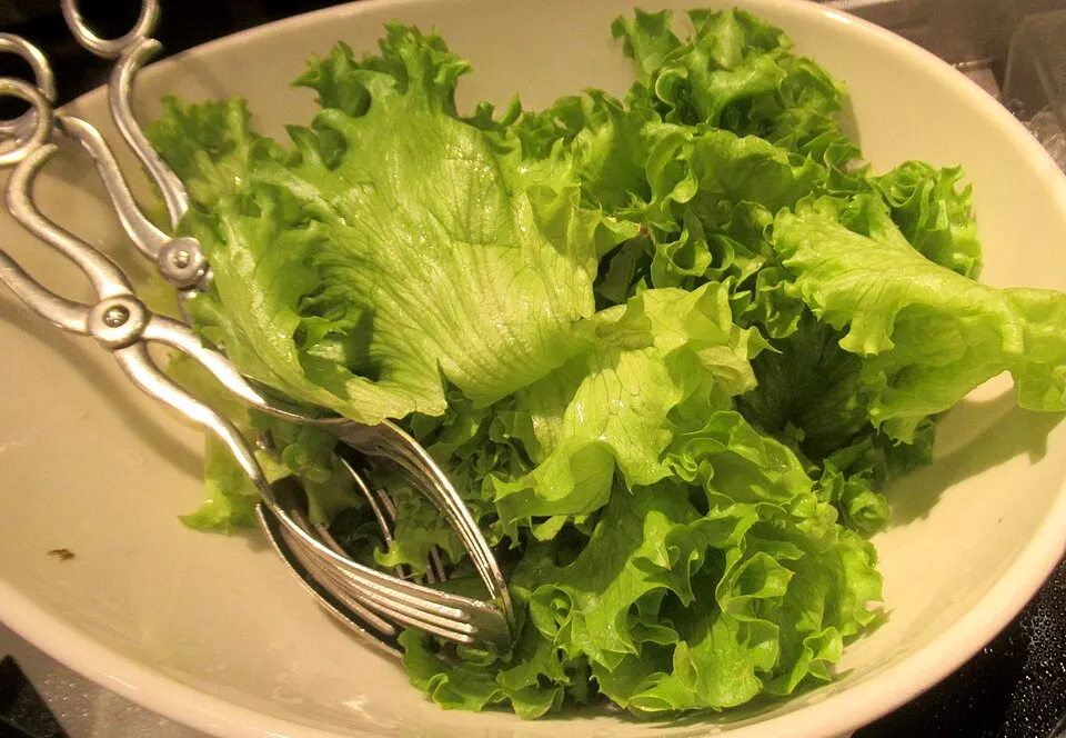 Salatplanter