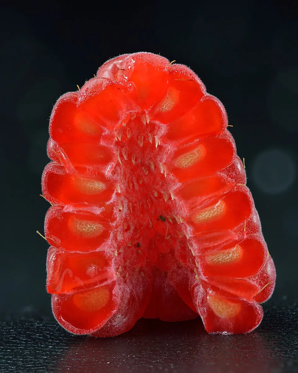 Raspberries