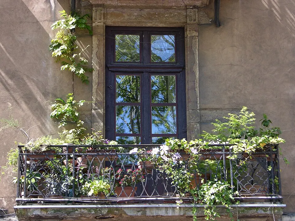 Rośliny balkonowe