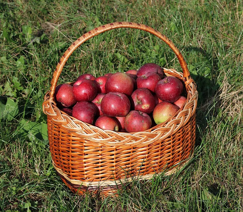 Manzanas en un recipiente