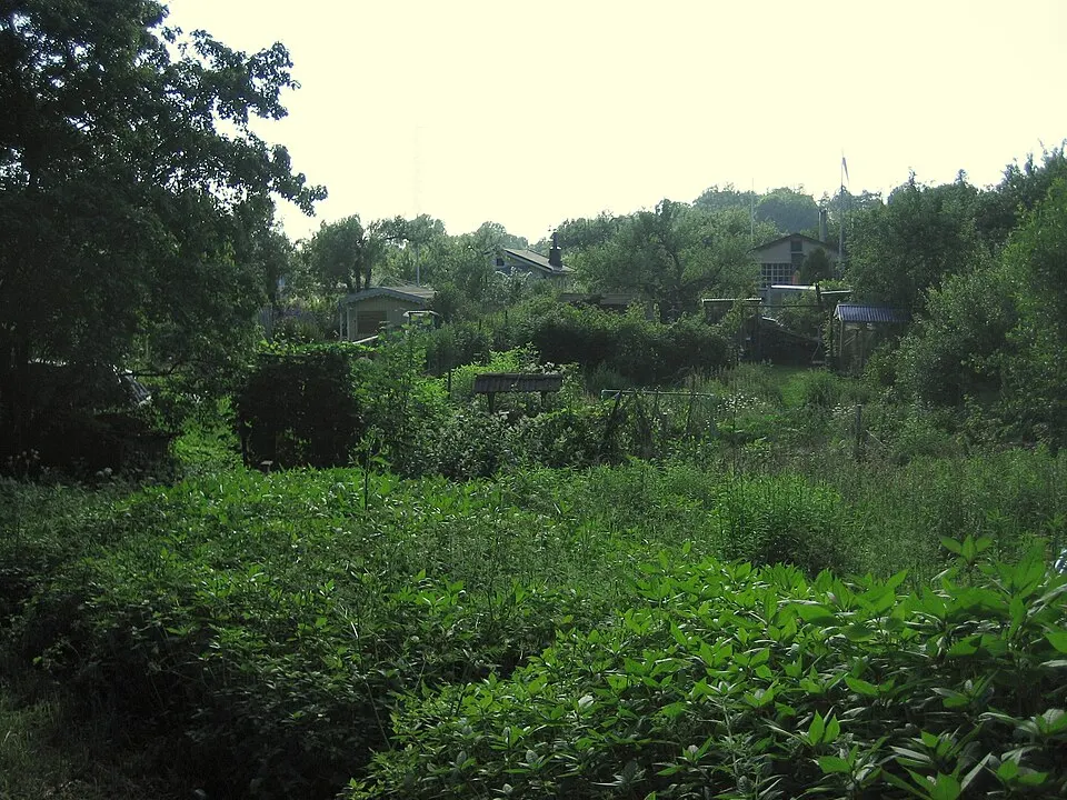 Gemüsegarten