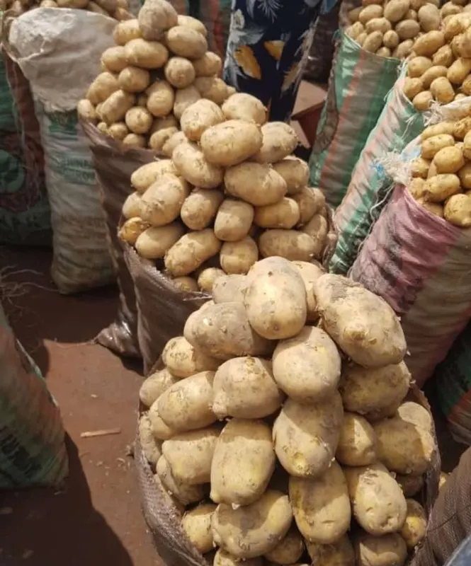 Pommes de terre