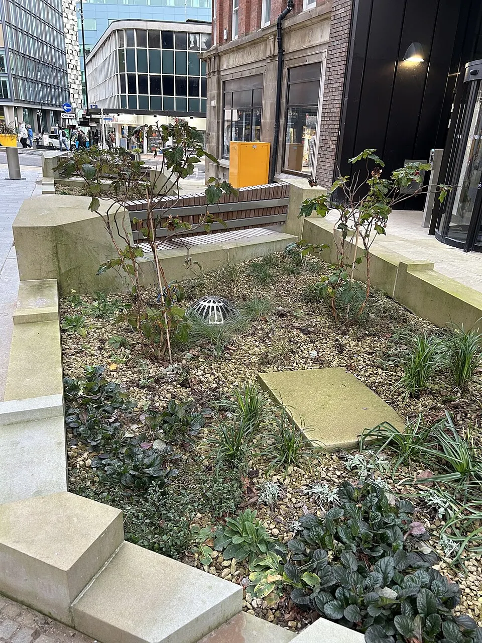 Rain garden