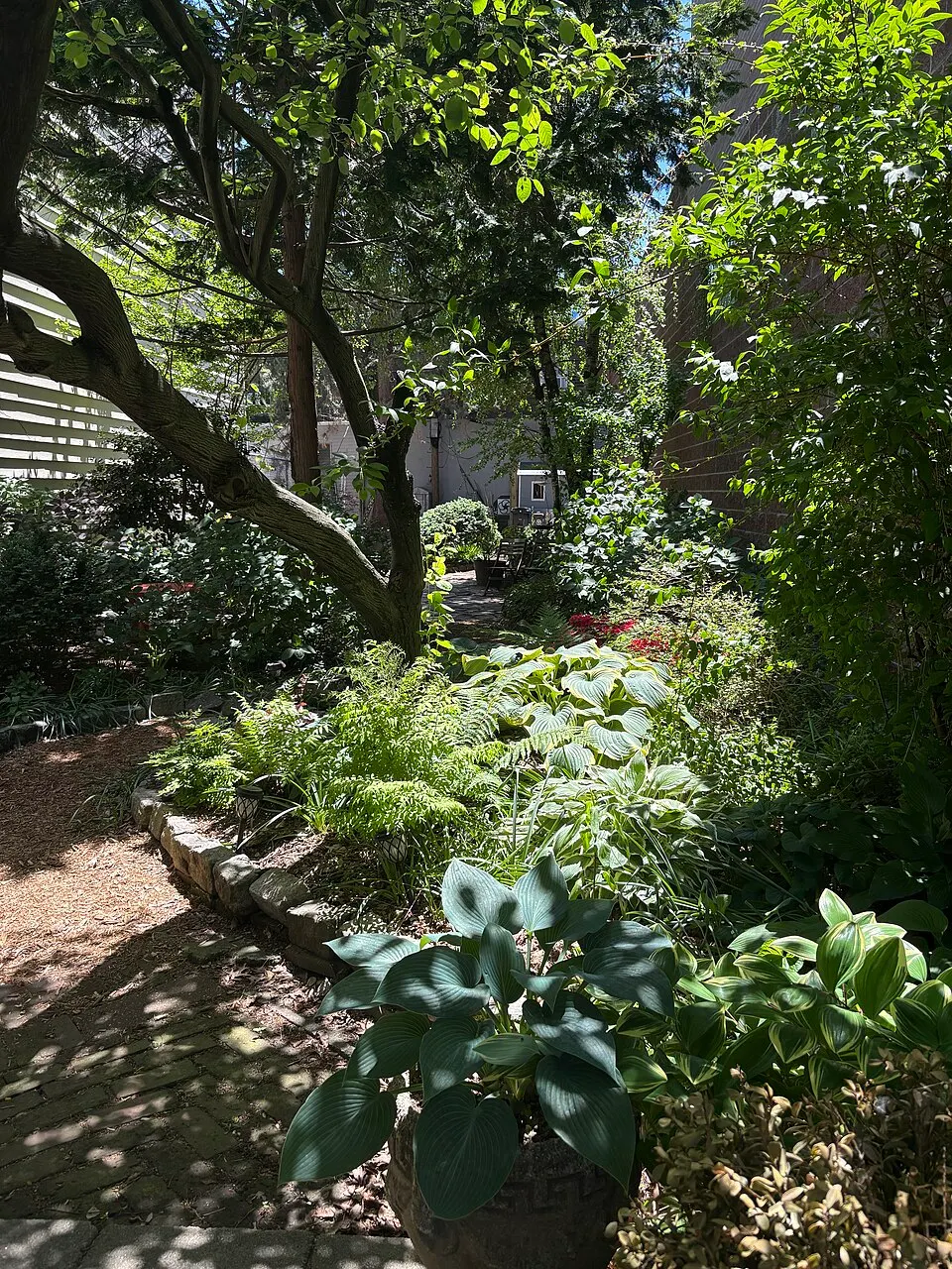 Community garden