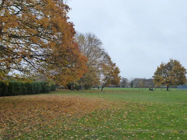 Herbstlaub